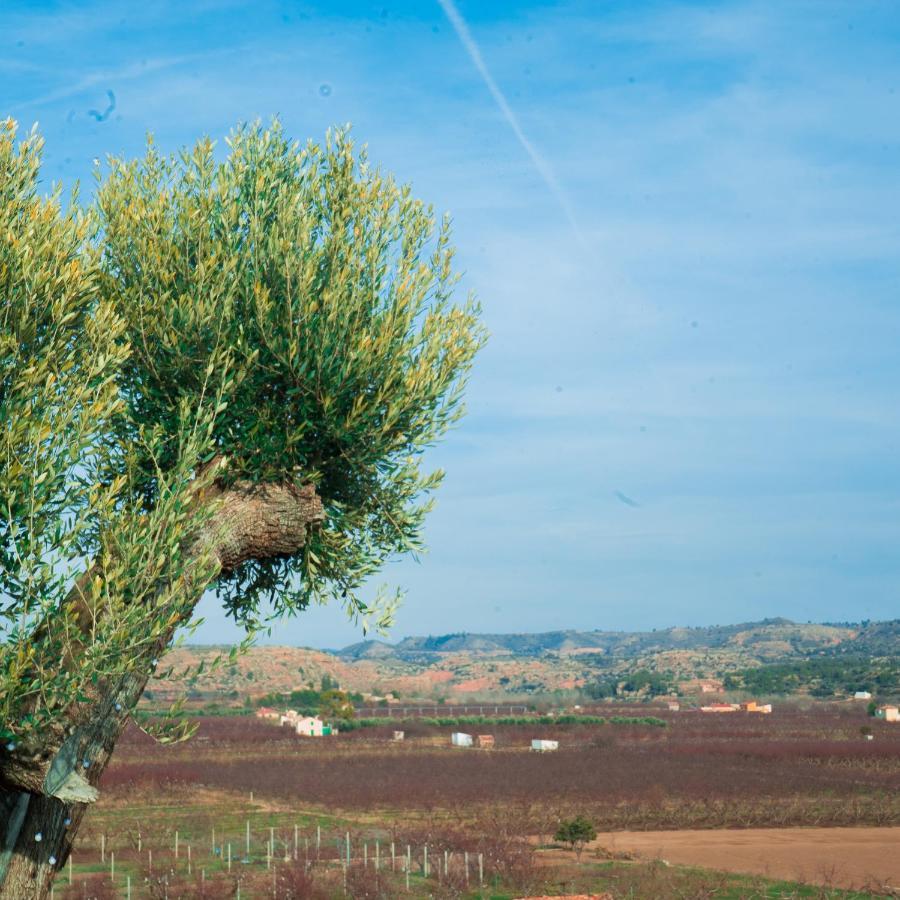 Cabezo Bunuel Alojamiento Rural กาลันดา ภายนอก รูปภาพ